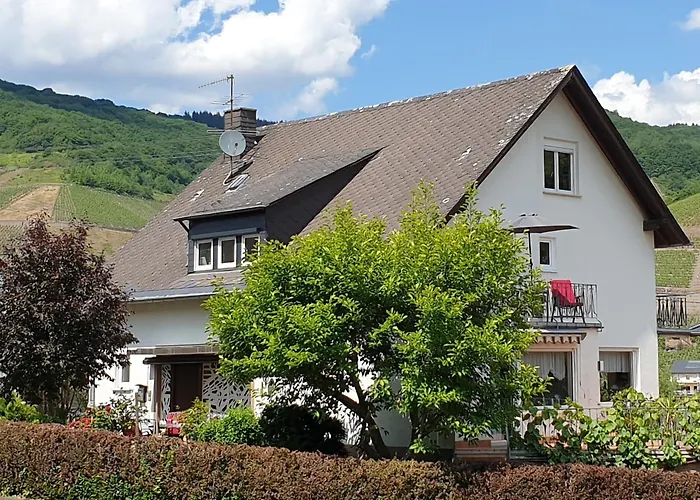 게스트하우스 Gaestehaus Schorn 첼 안 데어 모젤